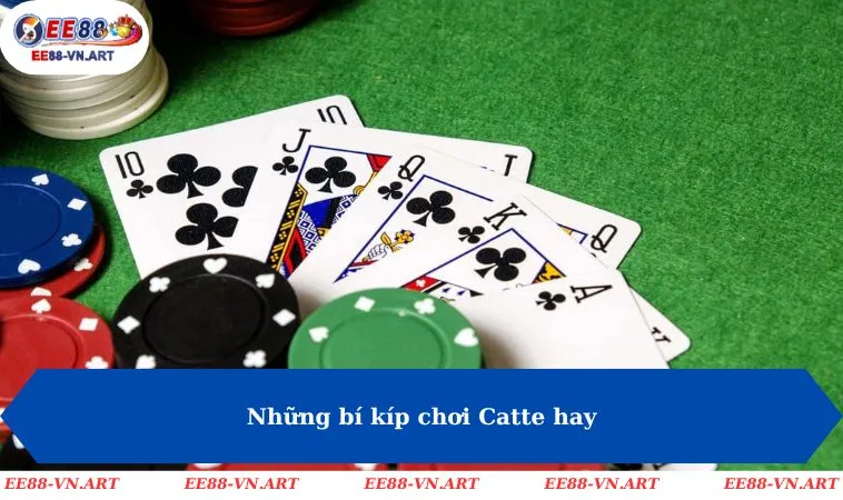 Những bí kíp chơi Catte hay