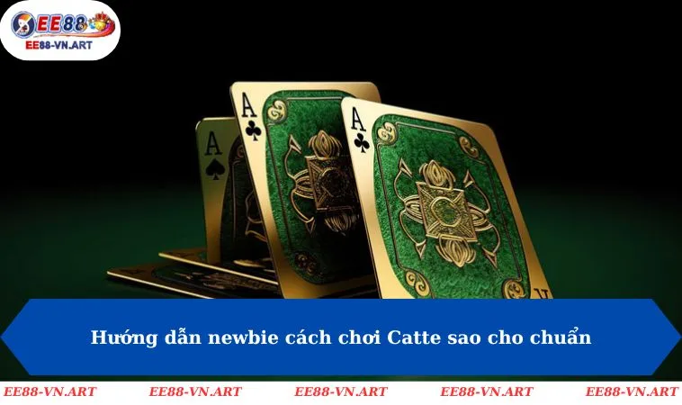 Hướng dẫn newbie cách chơi Catte sao cho chuẩn